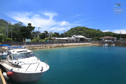 西表島船浮