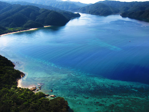 西表島の景色