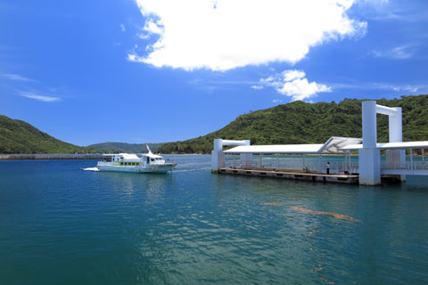 白浜港